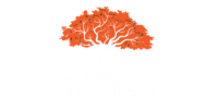 PAL CAMPO RESTAURANT