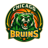 Chicago Bruins